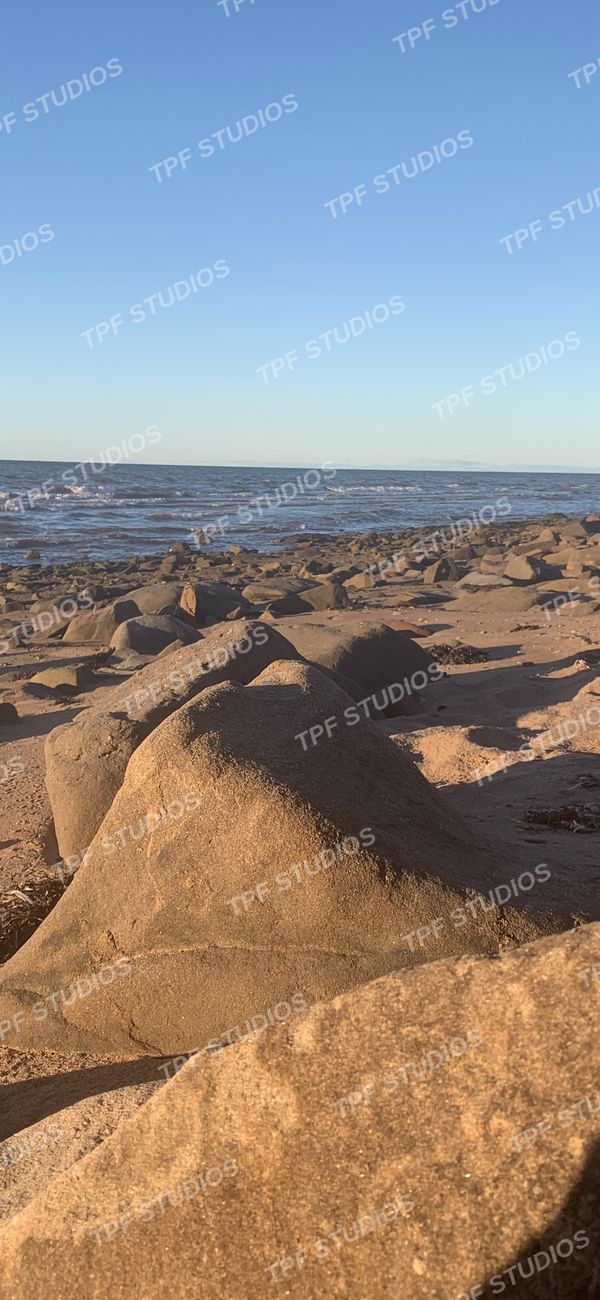 Sandstone shore